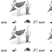 CARDINAL_hats
