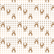 Owls