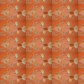 fishie. (cropped)