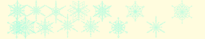 vll_snowflake_fabric_1_border_print