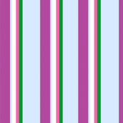 Coordinate Stripe for Bullschtick