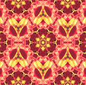Agrata:  Accent  ©2010 by Jane Walker