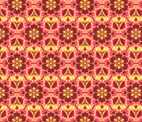 Agrata:  Accent  ©2010 by Jane Walker fabric by artbyjanewalker on Spoonflower - custom fabric