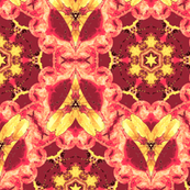 Agrata:  Accent  ©2010 by Jane Walker