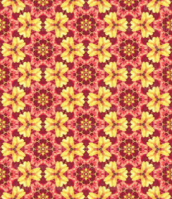 Agrata:  Basic  ©2010 by Jane Walker