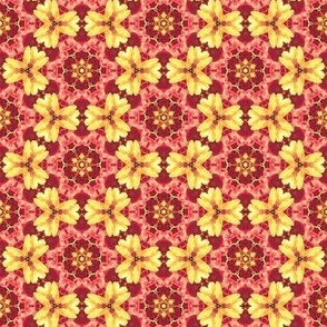 Agrata:  Basic  ©2010 by Jane Walker