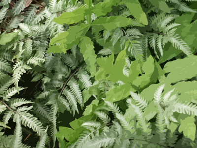 Fern_Fabric