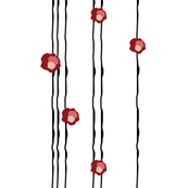 Flowers on a string