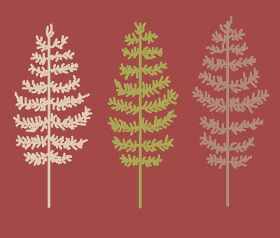 Feather Trees