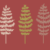 Feather Trees