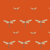 drawnbutterflyred