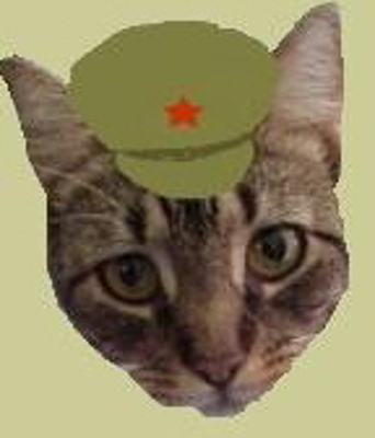 Chairman Meow