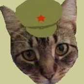 Chairman Meow