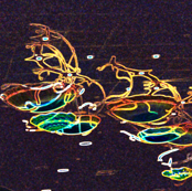 jelly_fish4