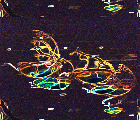 jelly_fish4 fabric by simplydolling on Spoonflower - custom fabric