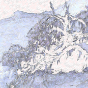 A__lake_side2