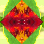 Christmas_stripe_image