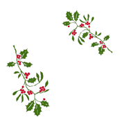 hollybranch