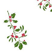 hollybranch