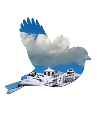 Snow Bird