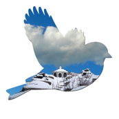 Snow Bird