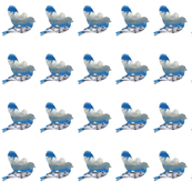 Snow Bird