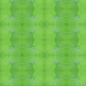 Edgreen_leaf