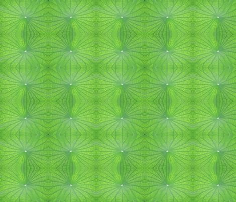 Edgreen_leaf fabric by daisy617 on Spoonflower - custom fabric
