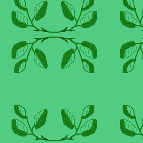 single_roses_Picnik_collage-ch-ed