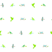 BirdLines