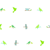 BirdLines