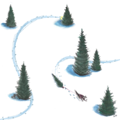 SIberian husky pulling Christmas tree #2