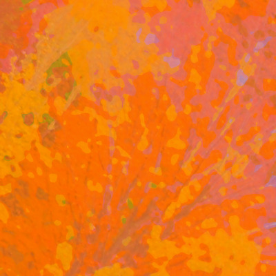 sat_post_45_maple_Oct__2009_007