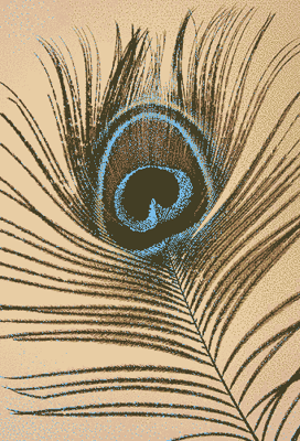 Organic Peacock