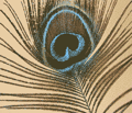 Organic Peacock