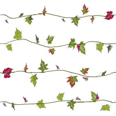 ivy