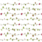 ivy