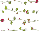 Ivy_thumb