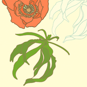 poppy_and_leaves
