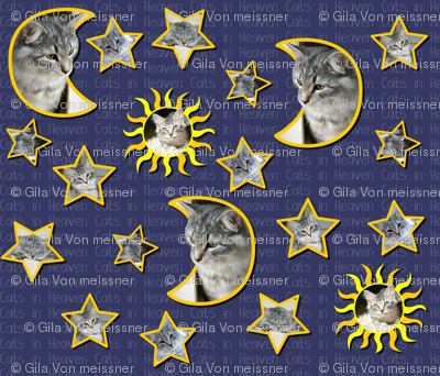 Cats in Heaven