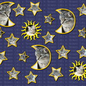 Cats in Heaven