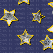 Cats in Heaven