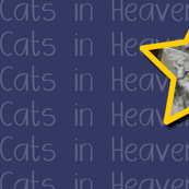 Cats in Heaven