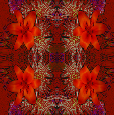 Tiger Lilly