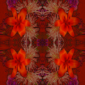 Tiger Lilly