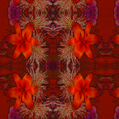 Tiger Lilly