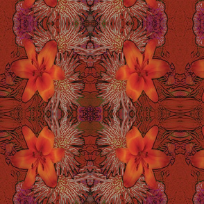 Tiger Lilly