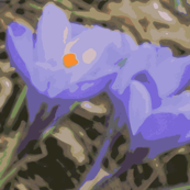 Copy_of_spring_flowers_2_004-ed-ed-ch