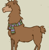 llama