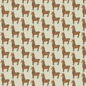 llama
